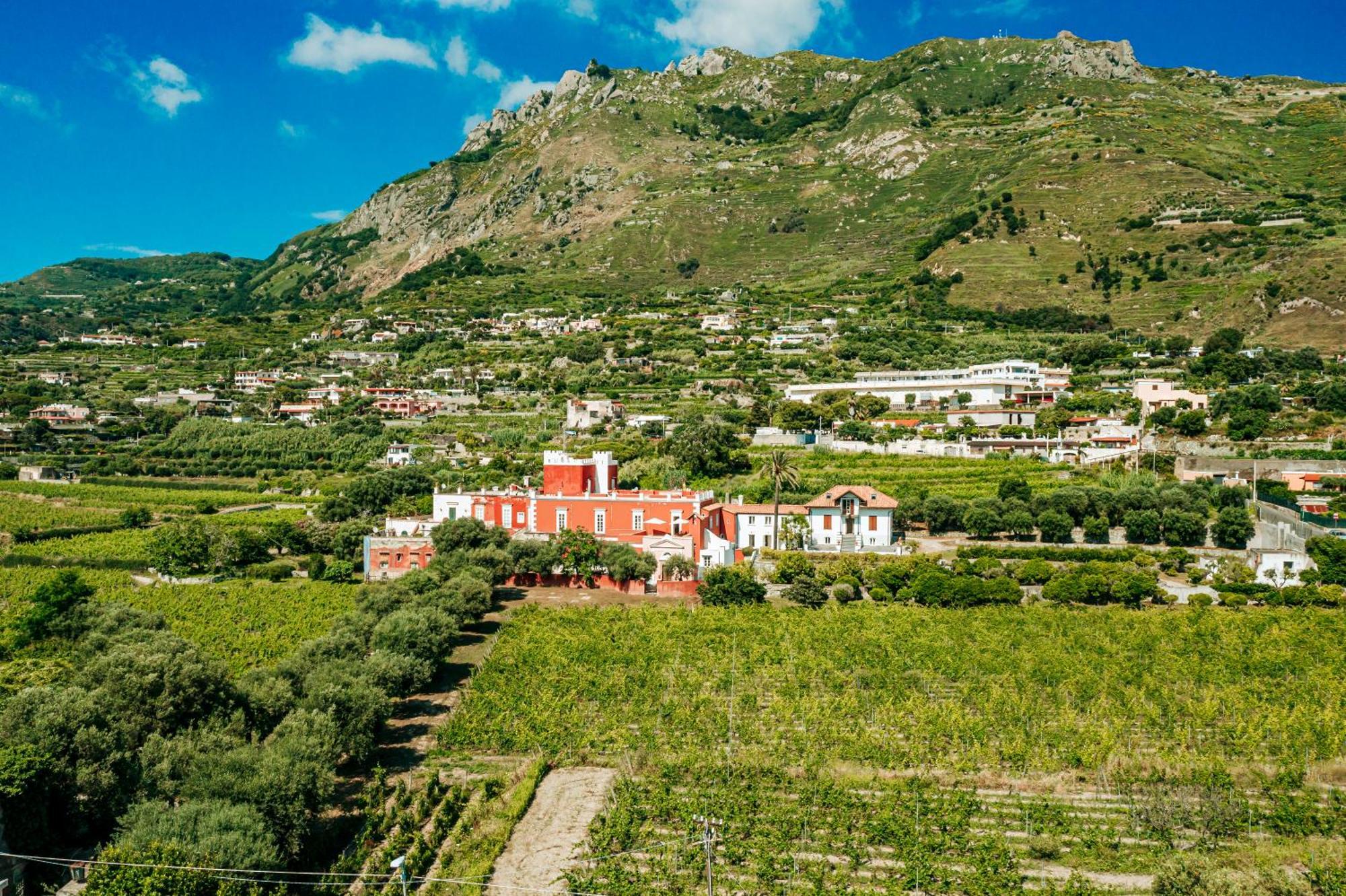 Tenuta Calitto Wine Resort E Spa 이스키아 외부 사진